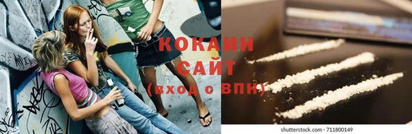 стаф Новодвинск