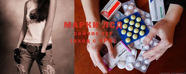 стаф Новодвинск