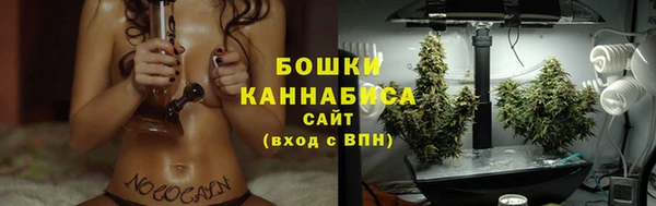 мдпв Новокубанск