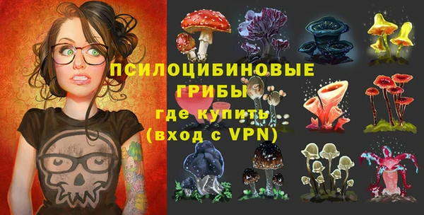 Альфа ПВП Новозыбков