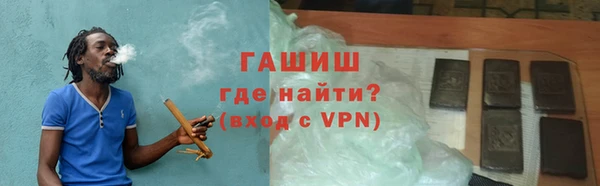 стаф Новодвинск