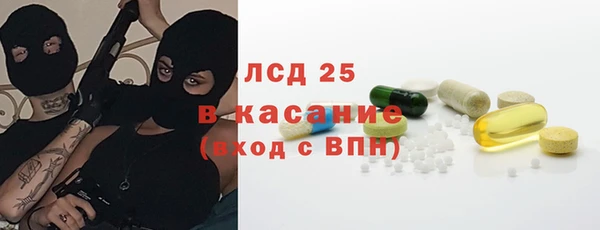 стаф Новодвинск