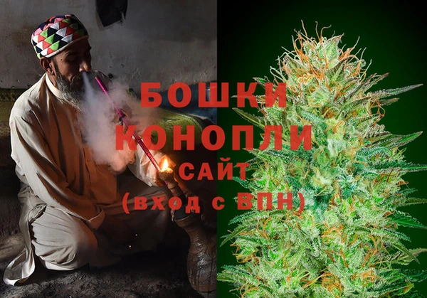 Альфа ПВП Новозыбков