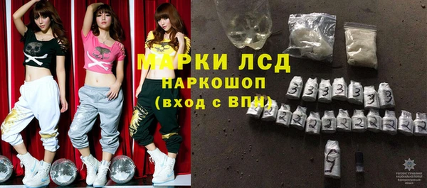 Альфа ПВП Новозыбков