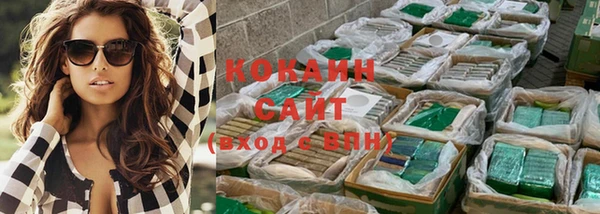 стаф Новодвинск
