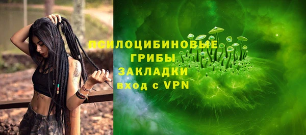 стаф Новодвинск