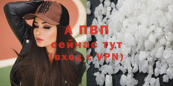 стаф Новодвинск